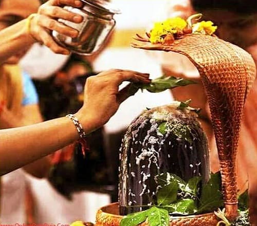 Rudrabhishek puja in Ujjain